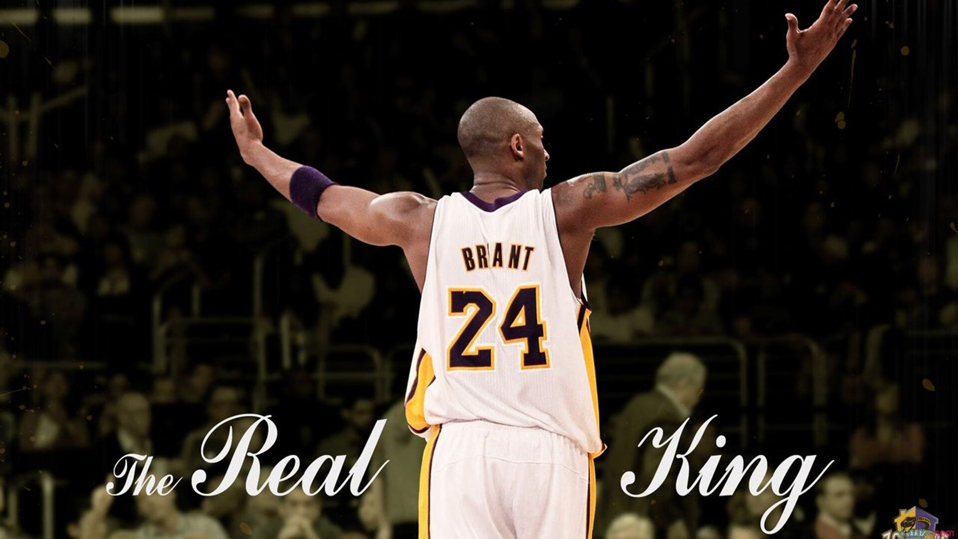 教科书般的统治力，约基奇诠释全能中锋，尼克斯力克太阳的战术启示