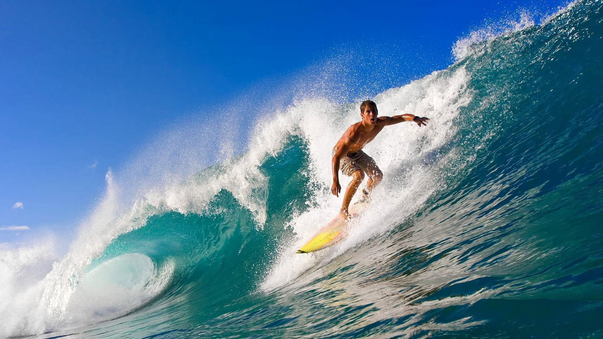 库里，当国王的权杖遭遇黄蜂，巨星价值在关键时刻绽放